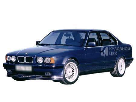 Альпина В10